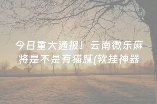 今日重大通报！云南微乐麻将是不是有猫腻(软挂神器)