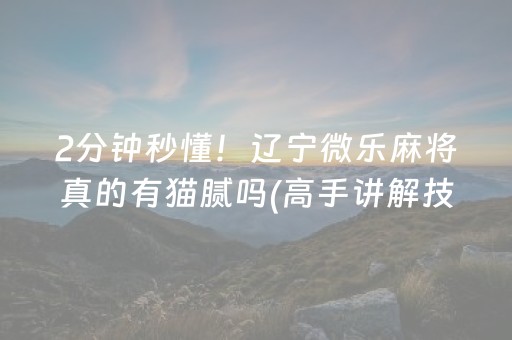 2分钟秒懂！辽宁微乐麻将真的有猫腻吗(高手讲解技术)