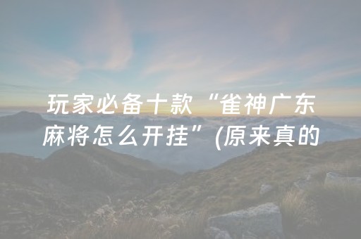 玩家必备十款“雀神广东麻将怎么开挂”(原来真的有挂)-抖音
