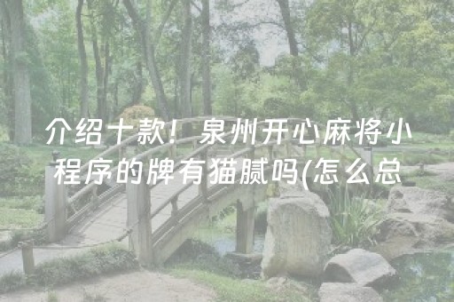 介绍十款！泉州开心麻将小程序的牌有猫腻吗(怎么总输有什么猫腻)