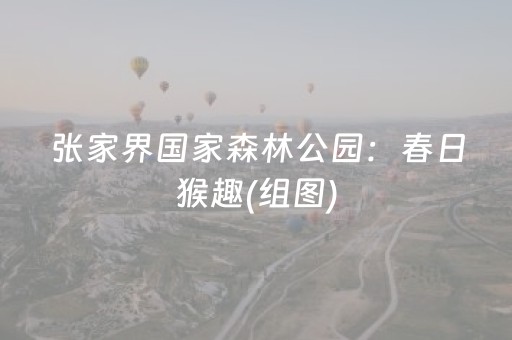 教程辅助“决胜麻将胡牌神器（助赢神器通用版）