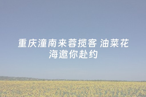 必看教程“闲逸斗地主房主可以调胜率（助赢神器通用版）