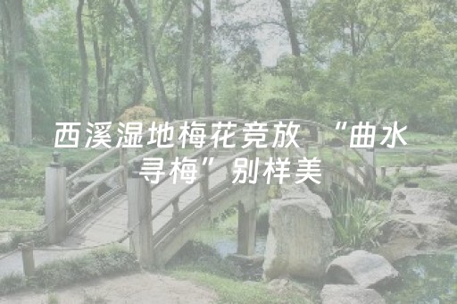 实测辅助“麻将机控牌软件手机下载（专用辅牌神器免安装）