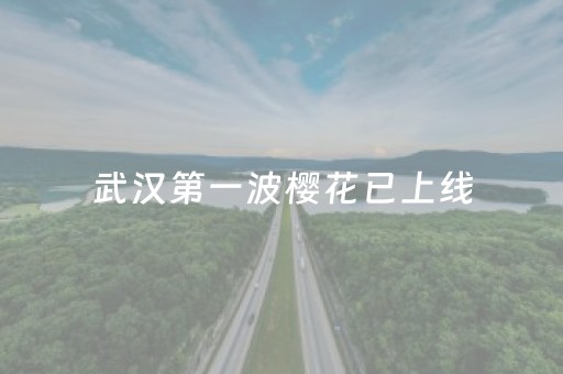 终于发现“手机物理外挂（助赢神器通用版）