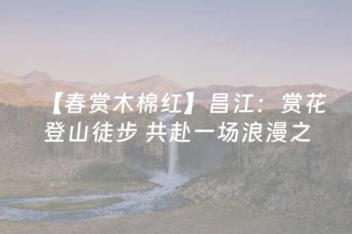 3分钟学会“哪有抢红包控制金额挂”（详细透视教程）-哔哩哔哩