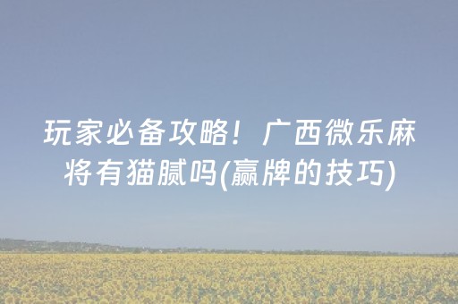 玩家必备攻略！广西微乐麻将有猫腻吗(赢牌的技巧)