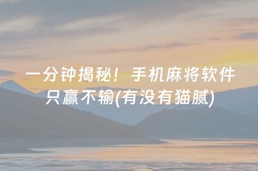 实测教程“微信抢红包软件自动抢最佳”（详细透视教程）-哔哩哔哩