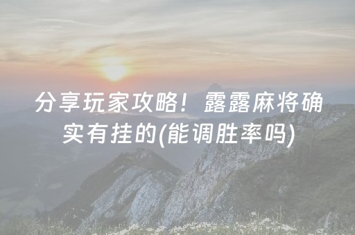 分享玩家攻略！露露麻将确实有挂的(能调胜率吗)
