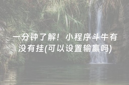 终于发现了“麻将机程序在手机上怎样操作（助赢神器通用版）