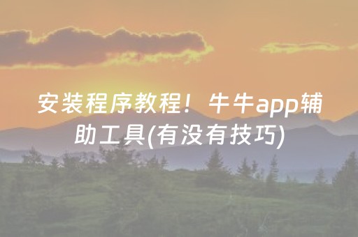安装程序教程！牛牛app辅助工具(有没有技巧)