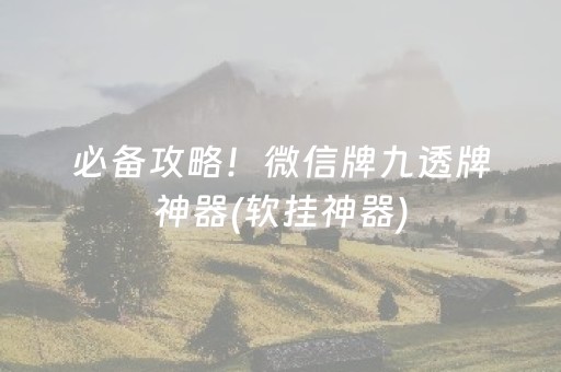 必备攻略！微信牌九透牌神器(软挂神器)
