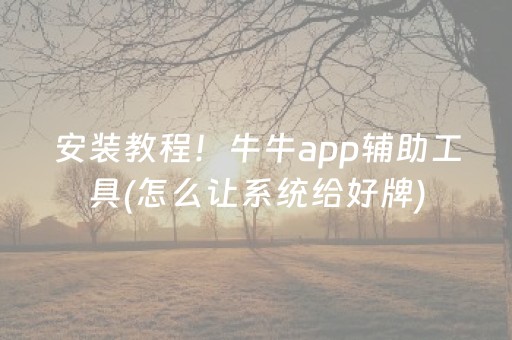 安装教程！牛牛app辅助工具(怎么让系统给好牌)