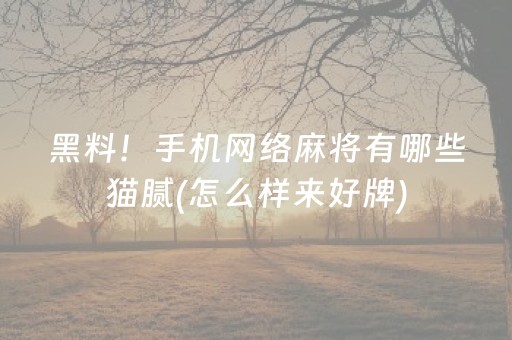 黑料！手机网络麻将有哪些猫腻(怎么样来好牌)
