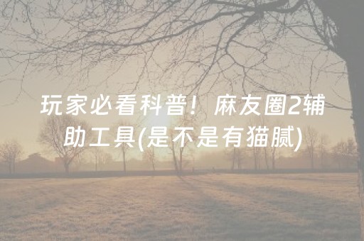 丽江旅游（丽江旅游完美攻略）