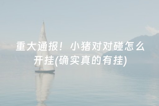 重大通报！小猪对对碰怎么开挂(确实真的有挂)