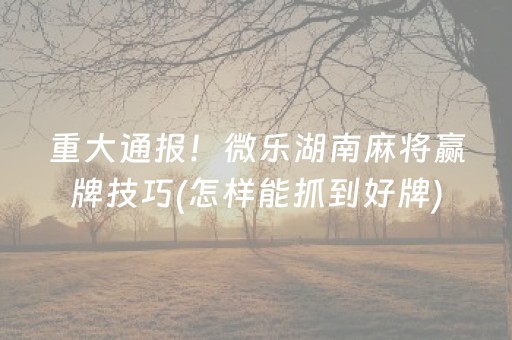 3分钟学会“麻将机检测仪app下载安装”（详细透视教程）-哔哩哔哩