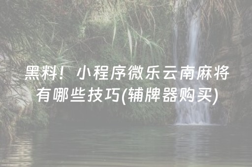 黑料！小程序微乐云南麻将有哪些技巧(辅牌器购买)