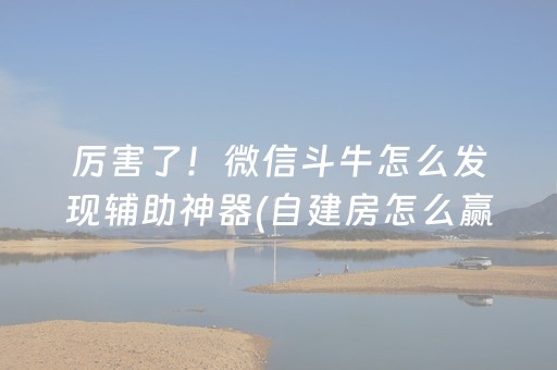 实测分享“麻将机免安装设备（助赢神器通用版）