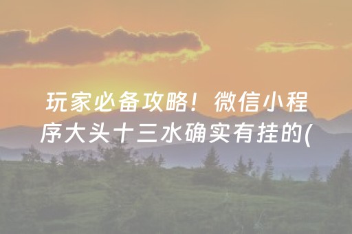 分享辅助“中至游戏怎样才可以赢”（详细透视教程）-哔哩哔哩