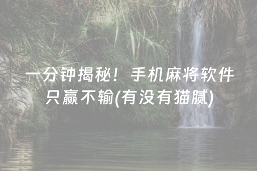 一分钟揭秘！手机麻将软件只赢不输(有没有猫腻)