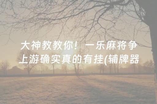 终于发现了“微信手机打麻将怎么赢（助赢神器通用版）