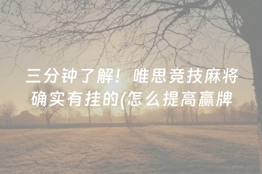 实测教程“麻将机手机控牌器（助赢神器通用版）