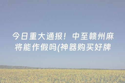 终于发现了“苹果雀神辅助器免费版下载（专用辅牌神器免安装）