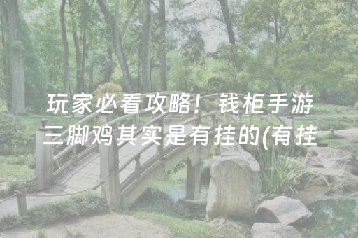 必看教程！“微乐陕西麻将插件免费”（详细开挂教程）-哔哩哔哩
