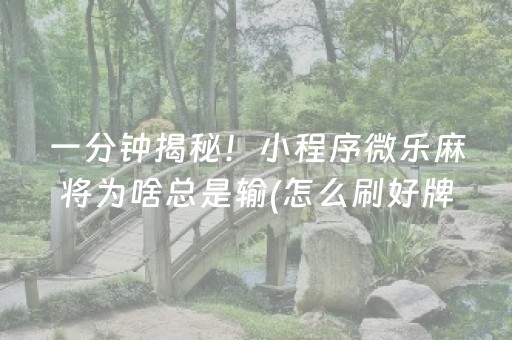 实测教程“手机微乐麻将免安装控牌器（助赢神器通用版）