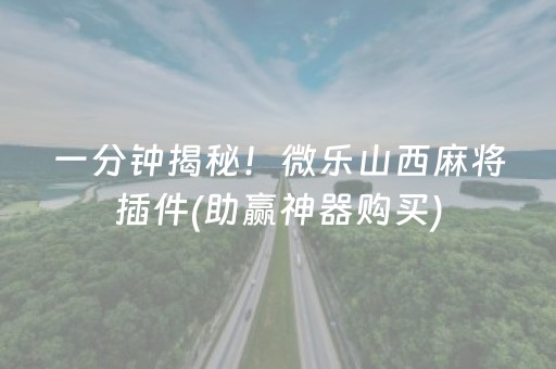 一分钟揭秘！微乐山西麻将插件(助赢神器购买)