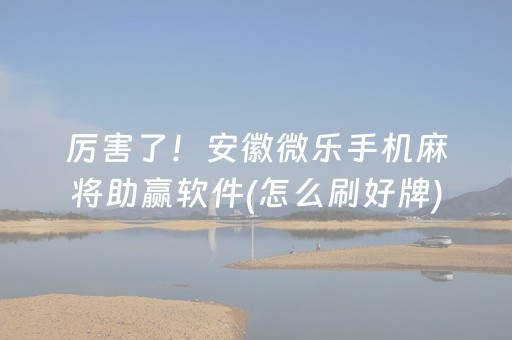 厉害了！安徽微乐手机麻将助赢软件(怎么刷好牌)