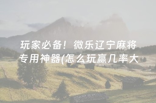 必看教程“小程序麻将插件（助赢神器通用版）