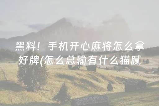实测辅助“最新免安装程序麻将机设备（助赢神器通用版）