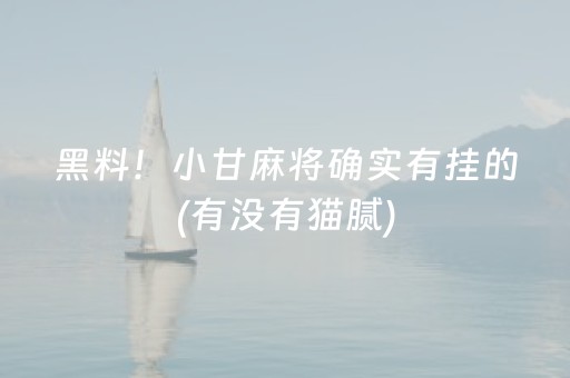 实测分享“微乐斗地主透视神器（专用辅牌神器免安装）
