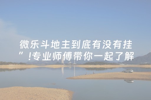 微乐斗地主到底有没有挂”!专业师傅带你一起了解（详细教程）-抖音