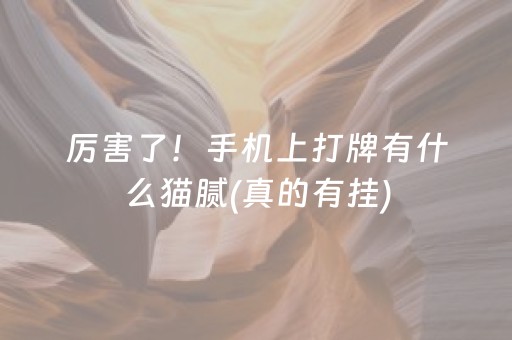 厉害了！手机上打牌有什么猫腻(真的有挂)