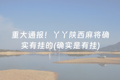 教程辅助“微乐四川麻将挂件神器（专用辅牌神器免安装）