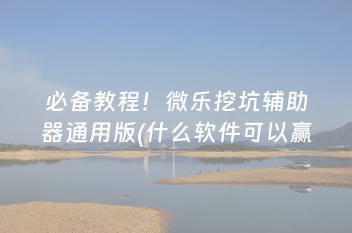 必备教程！微乐挖坑辅助器通用版(什么软件可以赢)