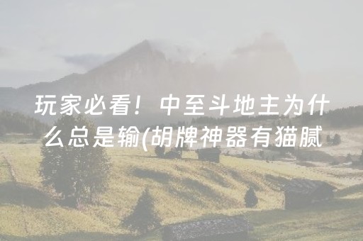 我来教大家“广东雀神辅助下载地址（专用辅牌神器免安装）
