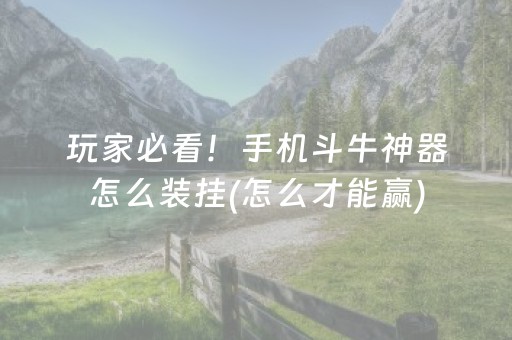 玩家必看！手机斗牛神器怎么装挂(怎么才能赢)