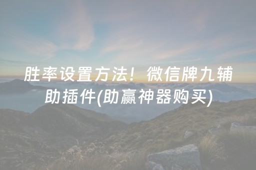 胜率设置方法！微信牌九辅助插件(助赢神器购买)