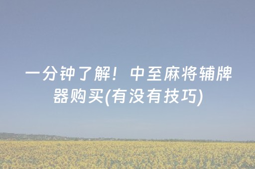 一分钟了解！中至麻将辅牌器购买(有没有技巧)