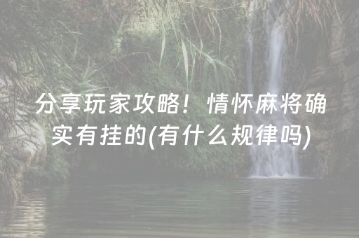 分享辅助“手机麻将挂件（专用辅牌神器免安装）