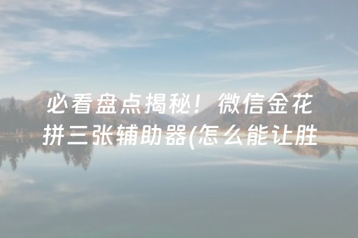 玩家必备教程“微乐麻将外挂（助赢神器通用版）