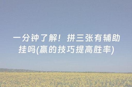 一分钟了解！拼三张有辅助挂吗(赢的技巧提高胜率)