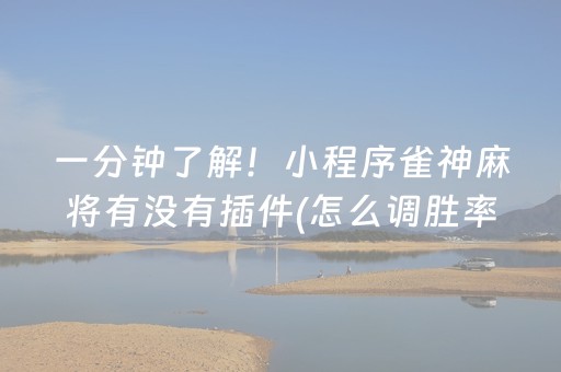 一分钟了解！小程序雀神麻将有没有插件(怎么调胜率)