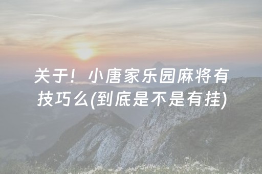 关于！小唐家乐园麻将有技巧么(到底是不是有挂)