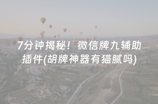 7分钟揭秘！微信牌九辅助插件(胡牌神器有猫腻吗)