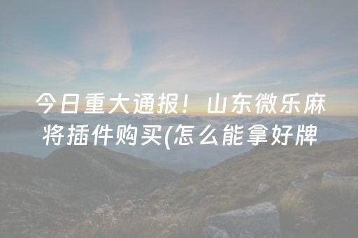 玩家必备教程“功夫川麻小程序可以开挂吗（专用辅牌神器免安装）