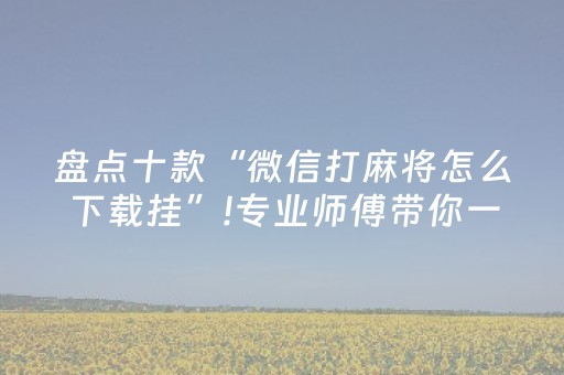 盘点十款“微信打麻将怎么下载挂”!专业师傅带你一起了解（详细教程）-抖音
